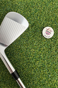 Fox Reimagined Ballmarker