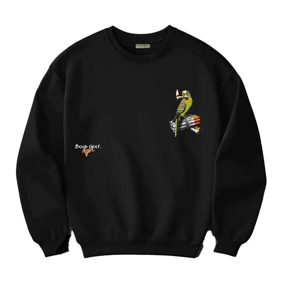 [PRE-ORDER] AGER x BOLD Crew Neck Sweater